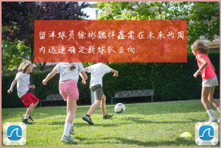留洋球员徐彬魏祥鑫需在未来两周内迅速确定新球队去向